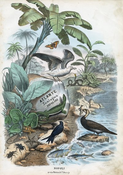 Title Page, 1863-79 by Raimundo Petraroja